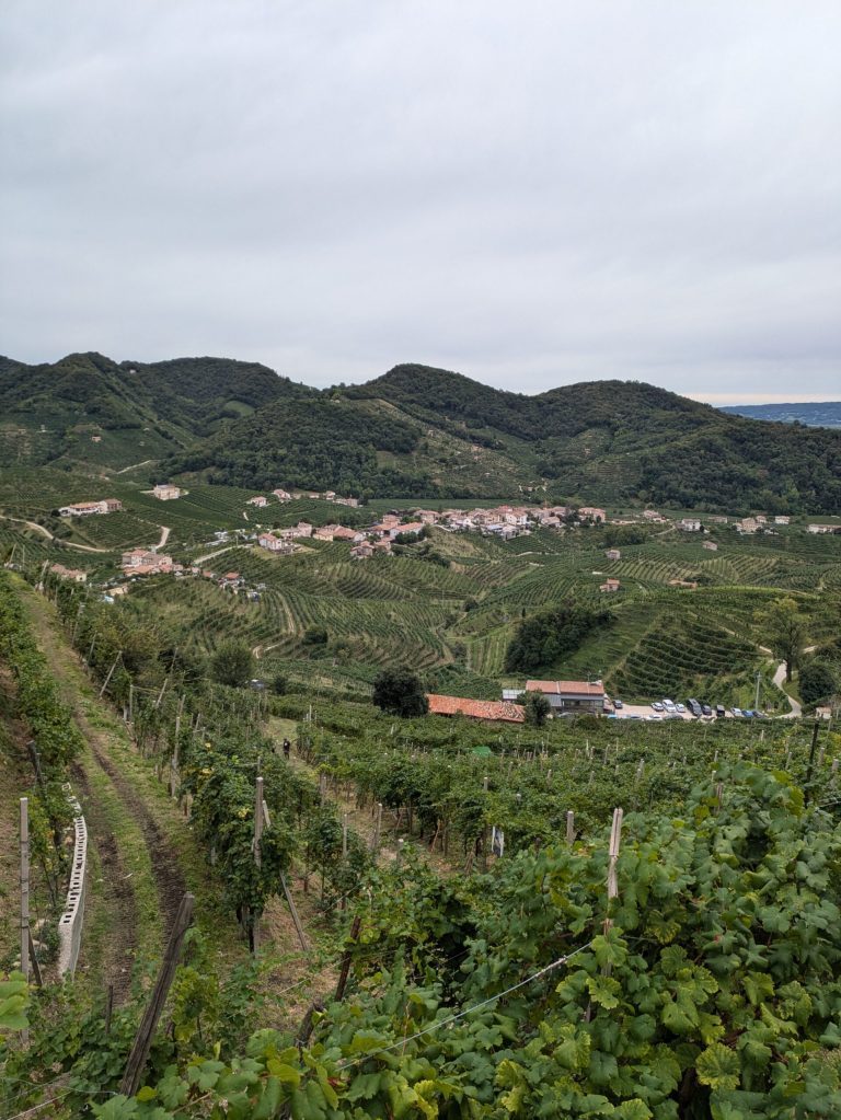 Your Ultimate Guide We Love Travelling