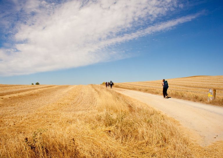The Different Stages of Camino de Santiago